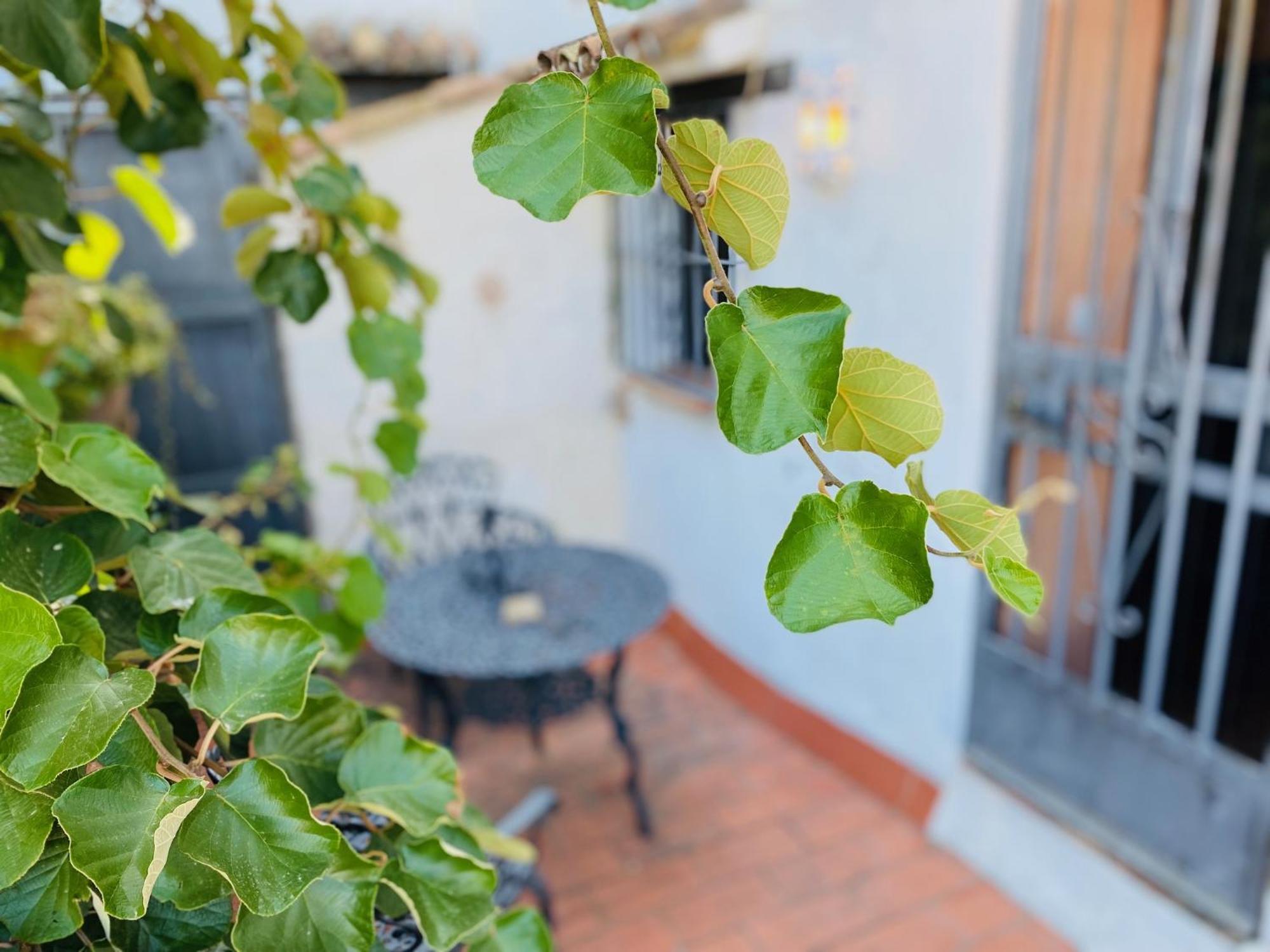 Posada La Casa Grande Jimena De La Frontera Esterno foto